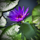 Illustration for article titled Shooting Challenge: HDR Gallery Part 3